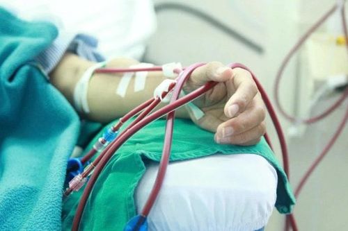 Nguy cơ suy thận trẻ hóa: Thói quen xấu bạn cần tránh