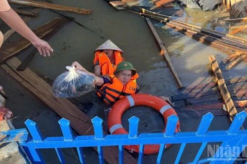 Ấm áp tình quân dân trong tâm lũ: Bố Hạ gượng dậy sau trận thiên tai lịch sử