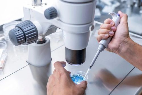 Thụ tinh trứng bằng vật liệu lấy từ tế bào da người