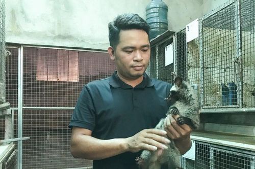 Nuôi con có hương vị thơm ngon đặc trưng, nông dân Nghệ An 'hốt bạc'