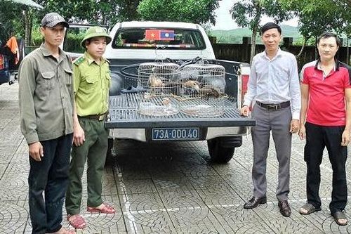 Người dân Quảng Trị chọn bảo vệ - không chọn 'sở hữu' chim quý