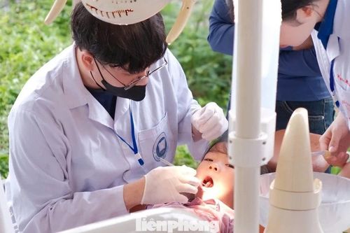 Khám, phát thuốc miễn phí cho hơn 1.500 người ở Nghệ An