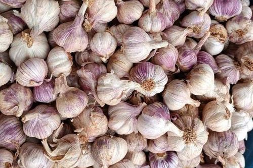 2 lý do bạn nên ăn tỏi mỗi ngày