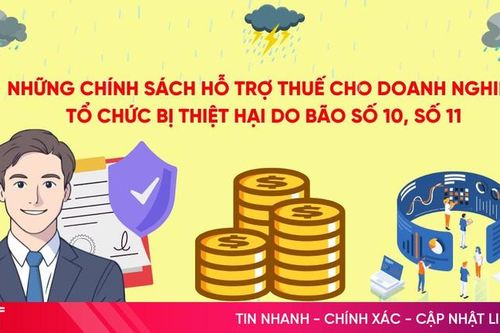 Những chính sách hỗ trợ thuế cho doanh nghiệp, tổ chức bị thiệt hại do bão
