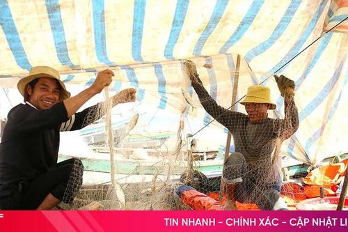 Ngư dân Hà Tĩnh đón nhiều 'lộc biển'
