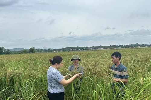 Thạch Bình đồng lòng đưa nghị quyết vào cuộc sống