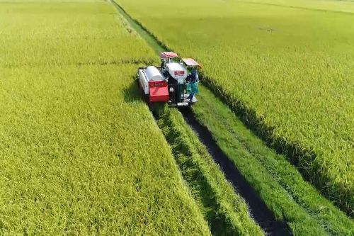 Hà Tĩnh trên hành trình xây dựng, phát triển nền nông nghiệp xanh, hiện đại