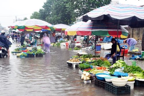 Bộ Y tế: Người dân vùng bão lũ tuyệt đối không sử dụng gia súc, gia cầm chết chế biến thực phẩm