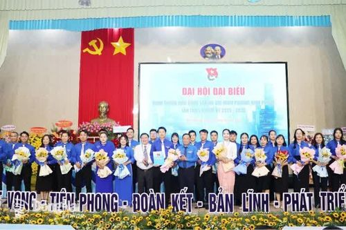 Đoàn phường Bình Phước triển khai phong trào gắn với nhiệm vụ phát triển kinh tế - xã hội