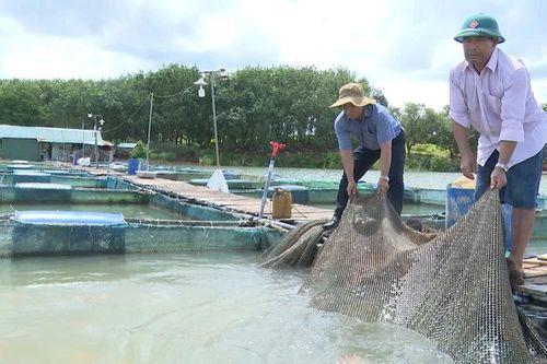 'Xanh hóa' sinh kế vùng sông nước
