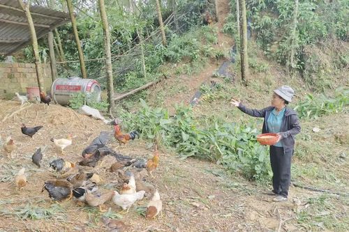 Những nữ 'thủ lĩnh' của bản làng