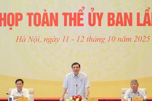 Ủy ban Văn hóa và Xã hội thẩm tra 2 dự án luật
