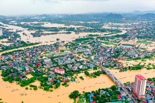 Hỗ trợ người nộp thuế khắc phục hậu quả thiên tai