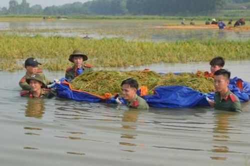 Nhiều hoạt động hưởng ứng Ngày quốc tế giảm nhẹ rủi ro thiên tai 13/10