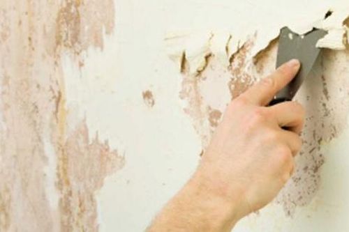 Cách xử lý triệt để chống ẩm mốc tường, sàn nhà mùa mưa