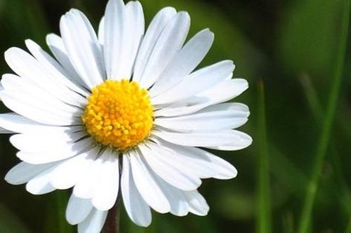 Ngày sinh Âm lịch của người luôn khiến gia đình tự hào