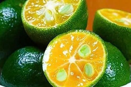 7 loại trái cây giúp tóc đen mượt và chắc khỏe từ bên trong
