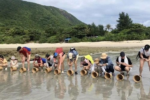 Vườn quốc gia Côn Đảo - hành trình đến 'Danh lục Xanh IUCN'