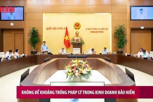 Không để khoảng trống pháp lý trong kinh doanh bảo hiểm