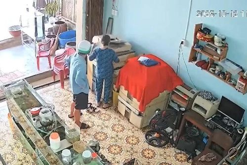 Bắt khẩn cấp đối tượng cướp giật dây chuyền vàng ở Lâm Đồng