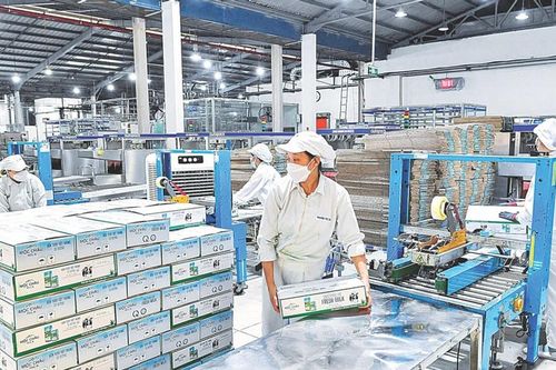 Doanh nhân, doanh nghiệp dân tộc là 'chiến sĩ trên mặt trận kinh tế'