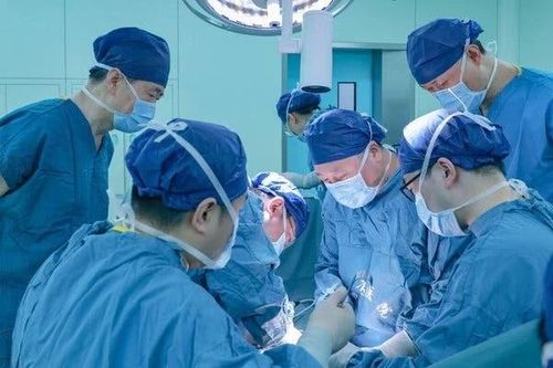 Trung Quốc đạt bước đột phá trong ghép tạng: Gan lợn hoạt động trong cơ thể người