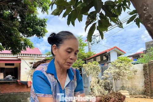 Hà Nội sau ngập sâu: Trung Giã lầy lội bùn đất, điện nước chưa 'hồi sinh'