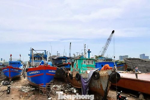 Lý do ngư dân Đà Nẵng bị 'mắc cạn'