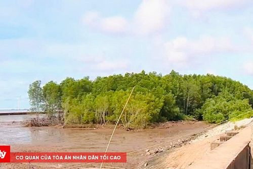 Cần Thơ công bố tình huống khẩn cấp do sạt lở bờ biển