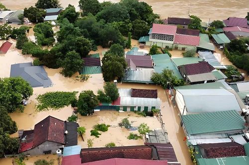 4 cơn bão trút xuống và hành trình gieo mầm kiên cường