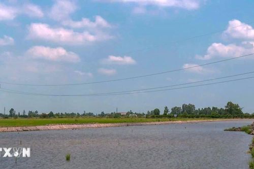 Lần đầu tiên thực hiện bồi thường bằng tiền đối với đường điện đi ngang cao tốc