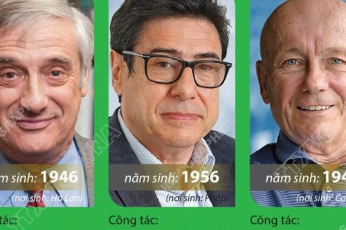 Giải Nobel Kinh tế 2025 tôn vinh 3 nhà khoa học