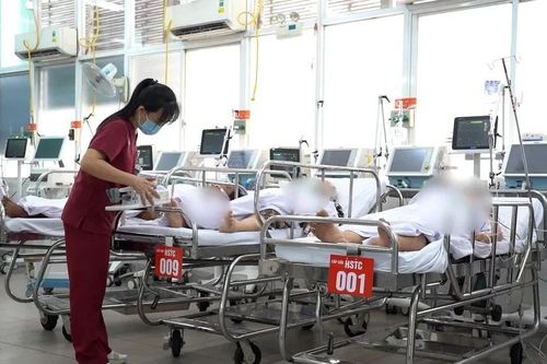 An Giang: Đề xuất lập Trung tâm đột quỵ não và can thiệp mạch máu tại Phú Quốc