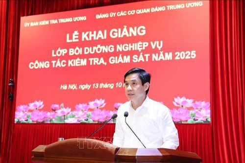 Bồi dưỡng chuyên sâu nghiệp vụ kiểm tra, giám sát thích ứng với yêu cầu chuyển đổi số