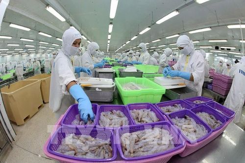 Diện mạo mới cho dòng chảy hội nhập