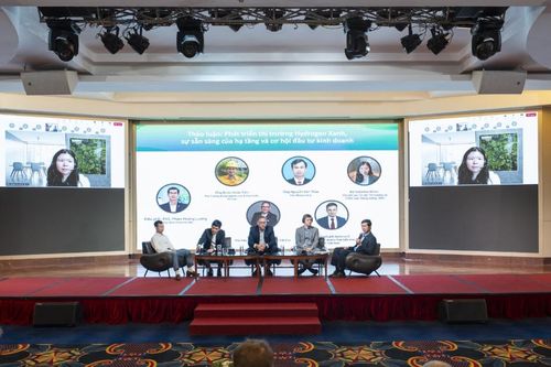Huy động các nguồn lực quốc tế để khai mở ngành hydrogen xanh của Việt Nam