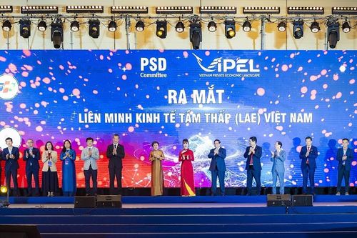 Liên minh Kinh tế tầm thấp ra mắt, tập hợp sức mạnh để tham gia thị trường 700 tỷ USD