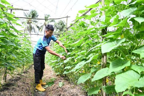 Hỗ trợ thanh niên dân tộc thiểu số phát triển kinh tế