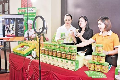Nông dân Bắc Ninh từng bước làm chủ công nghệ số