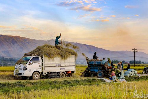 Thành quả tái cơ cấu nông nghiệp gắn với xây dựng nông thôn mới