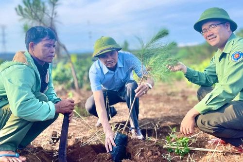 Gia Lai tăng tốc trồng rừng, hướng tới mục tiêu hơn 16.000 ha trong năm 2025