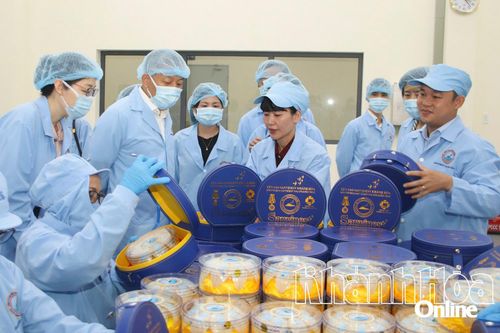 Kỷ niệm Ngày doanh nhân Việt Nam (13-10-2004 - 13-10-2025): Doanh nhân Khánh Hòa đồng hành cùng sự phát triển của tỉnh
