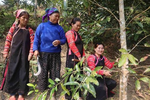 Hướng đi mới trong phát triển kinh tế