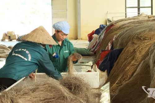 Khẩn trương khôi phục sản xuất nông nghiệp