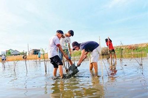 Giải pháp phát triển đô thị di sản, thông minh