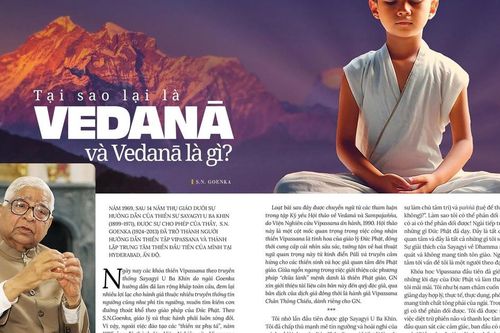 Tại sao lại là Vedanā và Vedanā là gì?