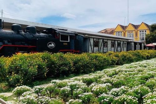 Trải nghiệm Đà Lạt cổ kính trên chuyến tàu răng cưa với mức giá giảm tới 50%