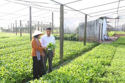 Xây dựng nông thôn mới ở Hà Nội: Kinh tế nông thôn chuyển mình mạnh mẽ