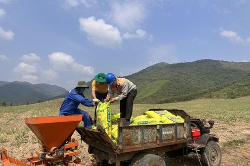 PVFCCo - Phú Mỹ sản xuất vượt chỉ tiêu trong 9 tháng đầu năm