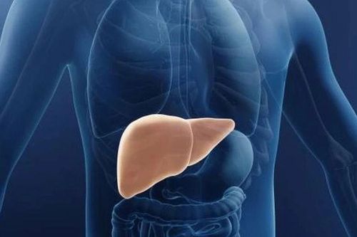 10 dấu hiệu cho thấy gan đang bị tổn thương